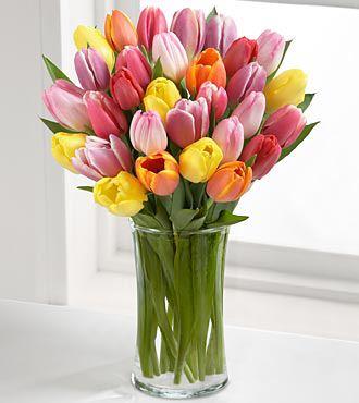 Tulips!