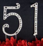 Maylana’s Chronicles