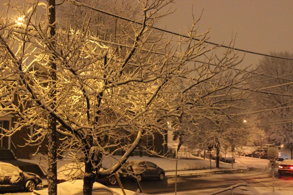 Nighttime, #snow, #snowy #night, Night
